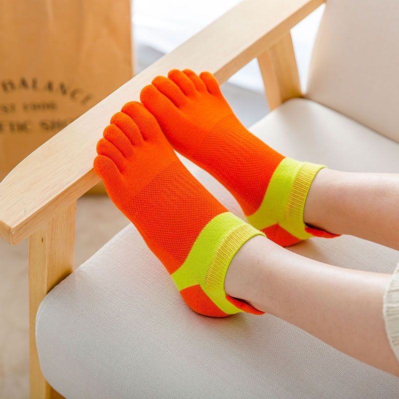 5 paires de chaussettes à cinq - Ankle Sock Low Cut avis et prix